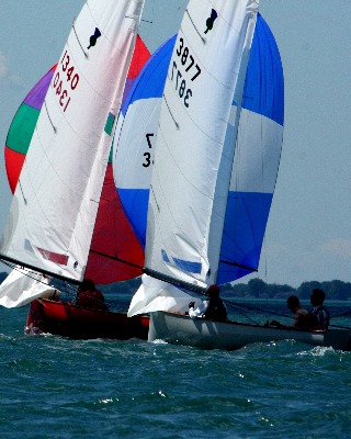 SwetkaNet24